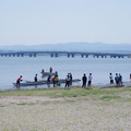 442-1.jpg