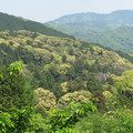 443-1.jpg