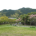 444-3.jpg