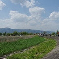 445-1.jpg