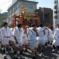 446-3.jpg