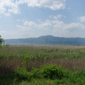 447-2.jpg
