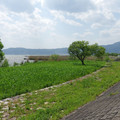 447-3.jpg