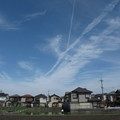 449-2.jpg
