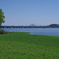 453-1.jpg