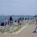 456-1.jpg