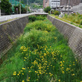 457-3.jpg