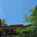 459-1.jpg