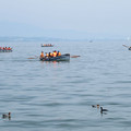 460-1.jpg
