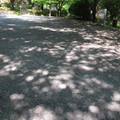464-1.jpg