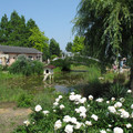 465-1.jpg