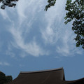 471-3.jpg