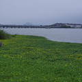 472-1.jpg