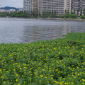 472-2.jpg