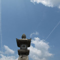 473-3.jpg
