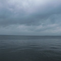 515-1.jpg