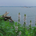 521-2.jpg