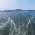 530-1.jpg
