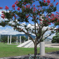 535-2.jpg