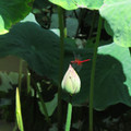 537-2.jpg