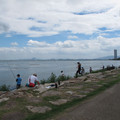 571-1.jpg