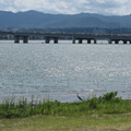 572-2.jpg