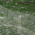 572-3.jpg