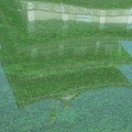 574-2.jpg