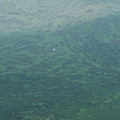 574-3.jpg