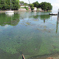 575-1.jpg