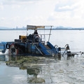 575-2.jpg