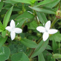 581-3.jpg