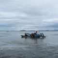 582-2.jpg