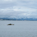 582-3.jpg
