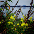583-3.jpg