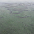 585-3.jpg