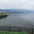 586-2.jpg