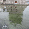 586-3.jpg
