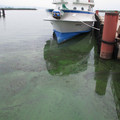 588-3.jpg