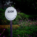 590-3.jpg