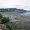 591-1.jpg
