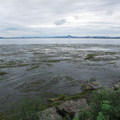 591-2.jpg