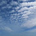 593-2.jpg