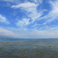 595-1.jpg