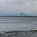 596-2.jpg