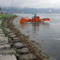 596-3.jpg