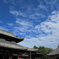 598-1.jpg