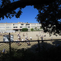 633-3.jpg