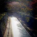 635-1.jpg