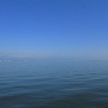 636-1.jpg